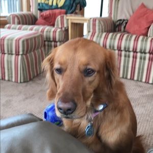 Meet your Posher, Diane